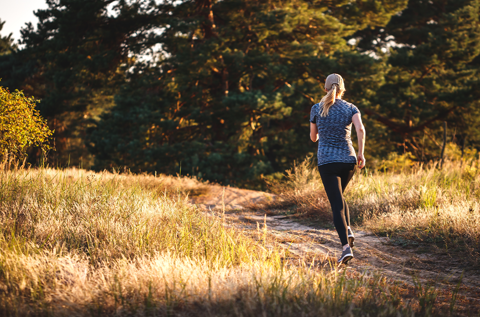 Die Wechseljahre verstehen 