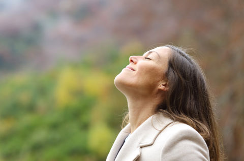 Jeder kennt Vitamine … aber wie gut?